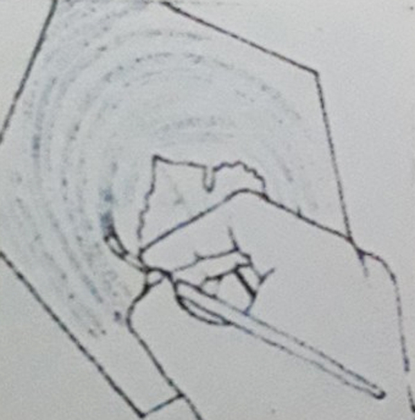 Họa phẩm “Vox Angelica” của Max Ernst